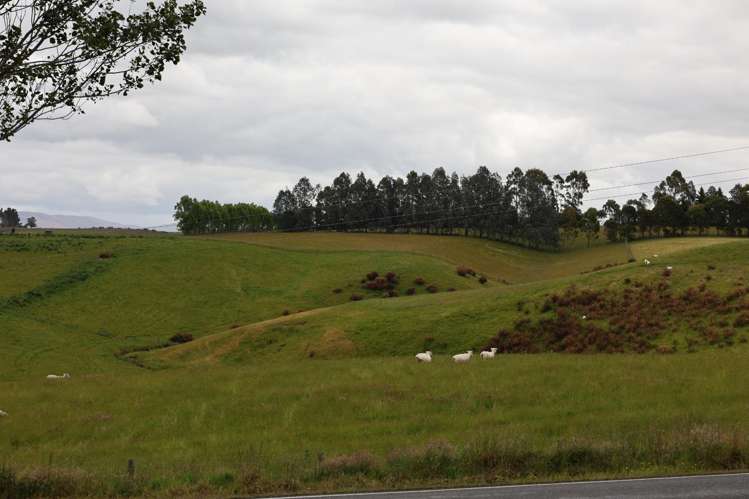 14 Railway Street Kakapuaka_38