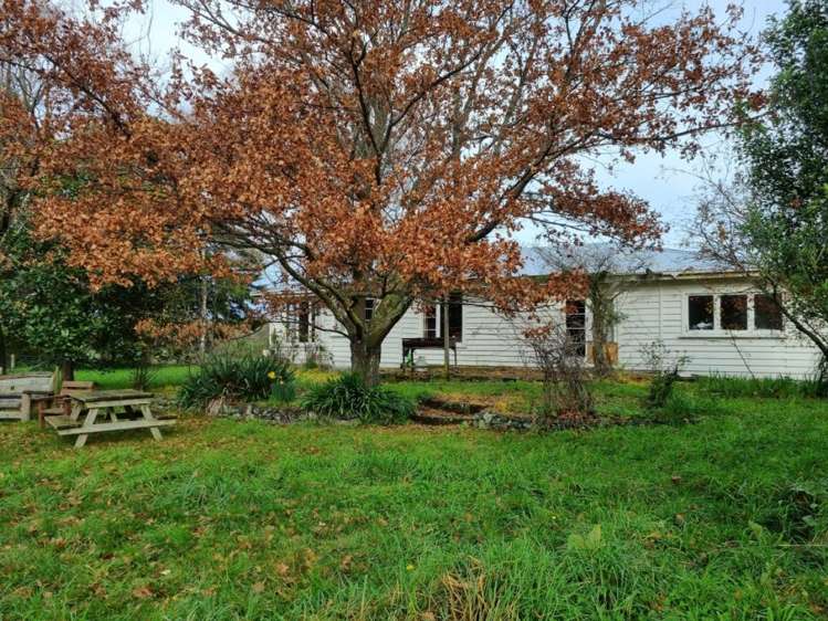 98 Fosters Road Cheviot_6