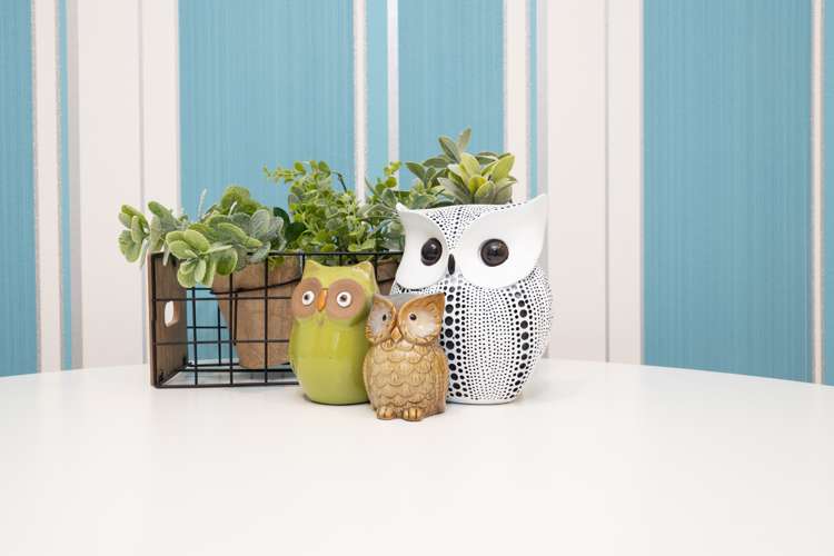 3/287 Cameron Street Ashburton_17