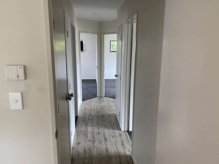 172B White Swan Road Mount Roskill_3