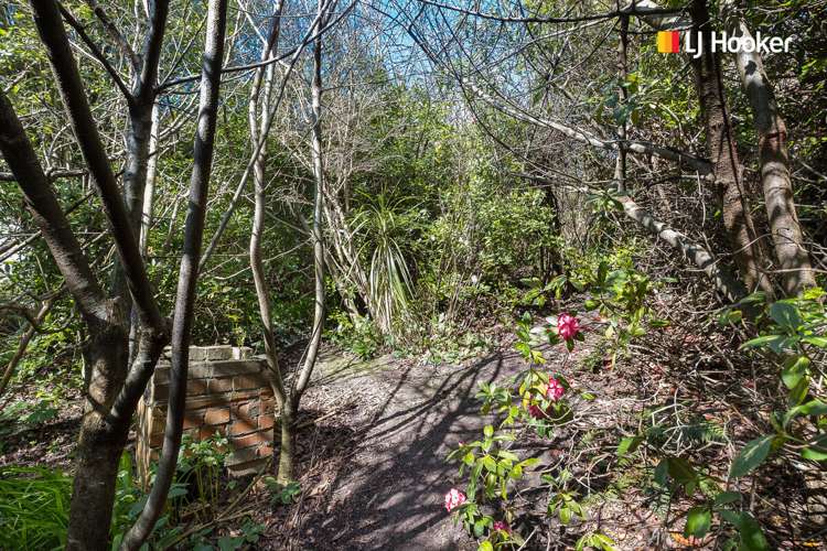 30 Springhill Road Mornington_13