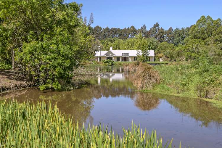 61 Mapleham Drive Pegasus_31