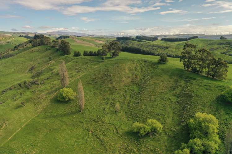 22 Hazelburn Road Pleasant Point_22