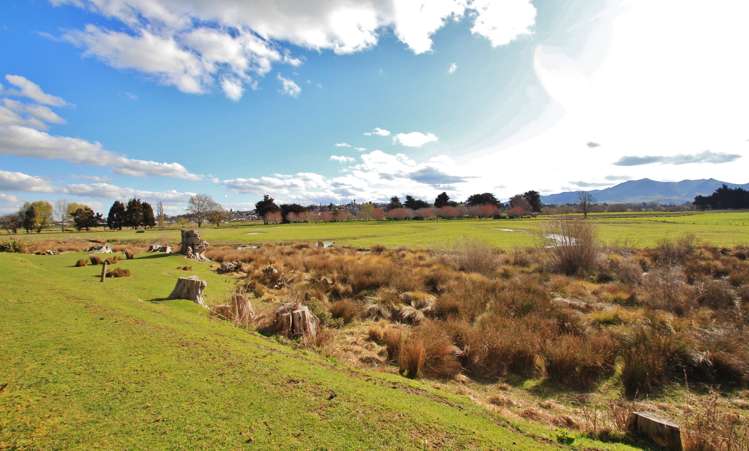 54 Hamilton Street Gore Surrounds_19