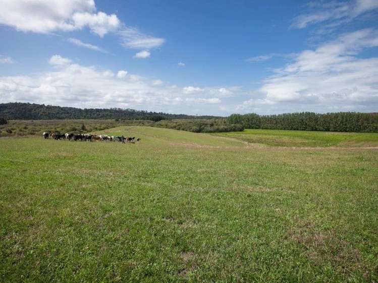 137 Sanson Road Ruawaro_38