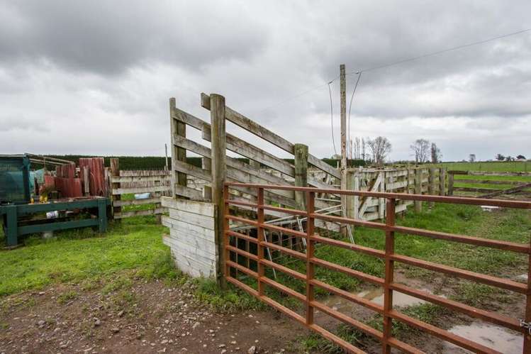 121 Mace Road Hauraki Surrounds_16