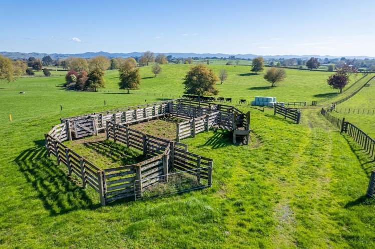 103 Jury Road Ngahinapouri_23