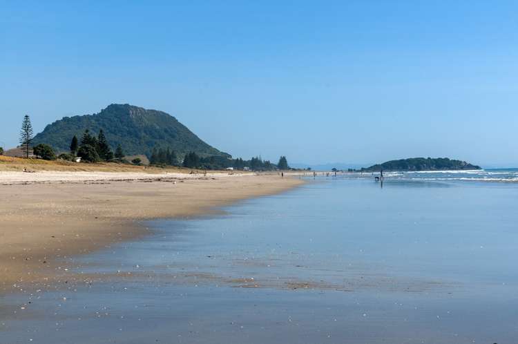 206/178 Marine Parade Mount Maunganui_17