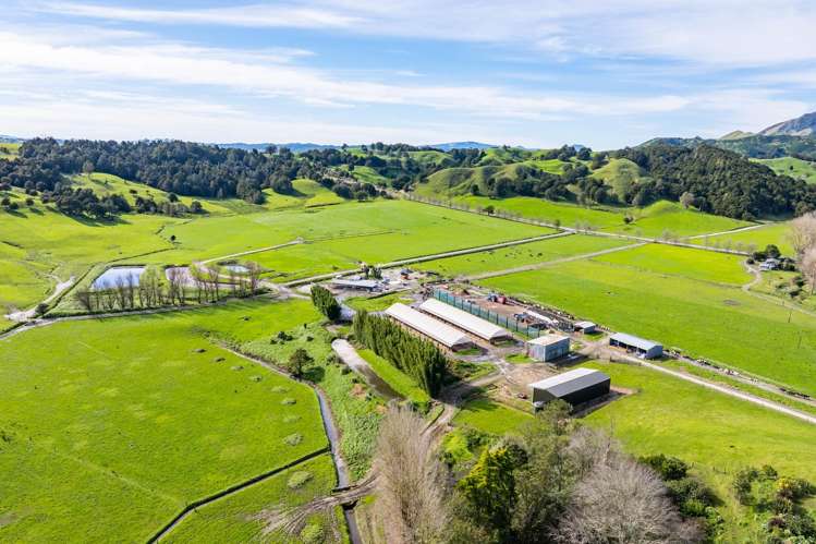 412 Pukehuia Road Tangiteroria_7