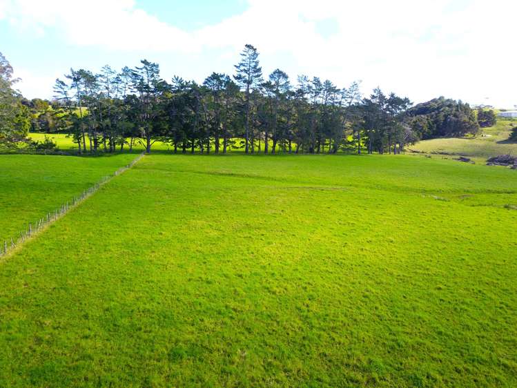 Larmer Road Kaitaia_6