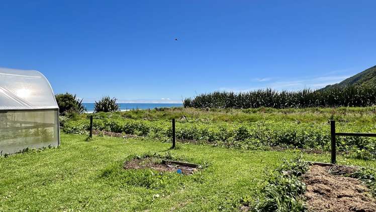 37 Nikau Road, State Highway 67 Hector_7