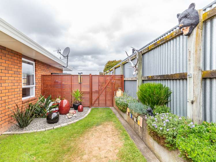 25b Trafalgar Street Levin_11