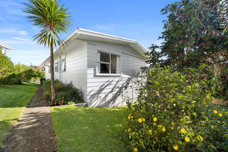10 Hewlett Road Massey_26