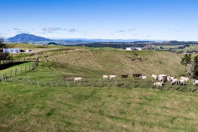 545 Palmer Mill Road Wairakei and Surrounds_1