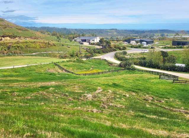 29G Reg Cox Drive Blue Spur_4