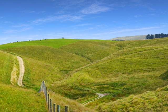 Fuchsia Creek Road Waitaki_2