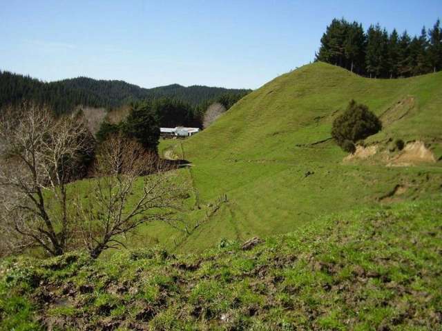 673 Hokoroa Road Tolaga Bay_2