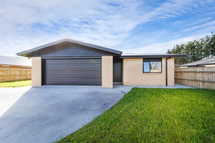 53 Hereford Street Marton_28