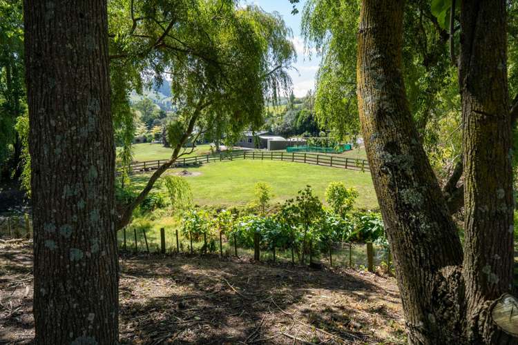 398 French Pass Road Cambridge_23