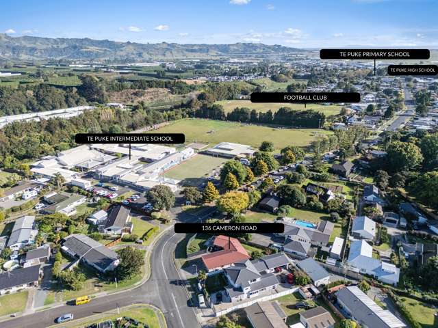 136 Cameron Road Te Puke_2