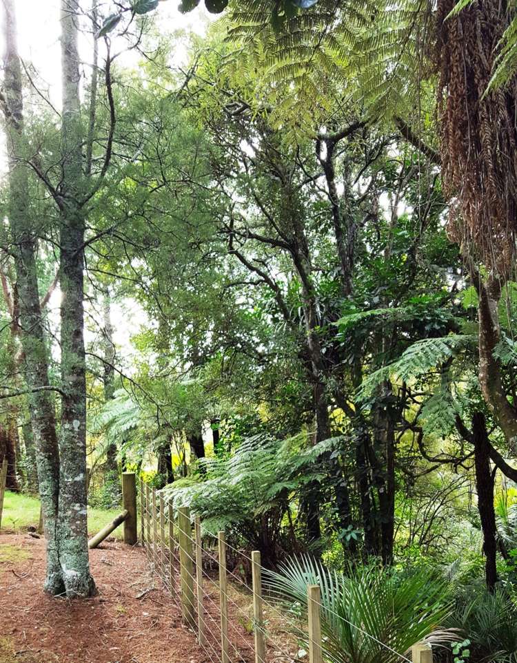 9 Pearson Road Whitford_10