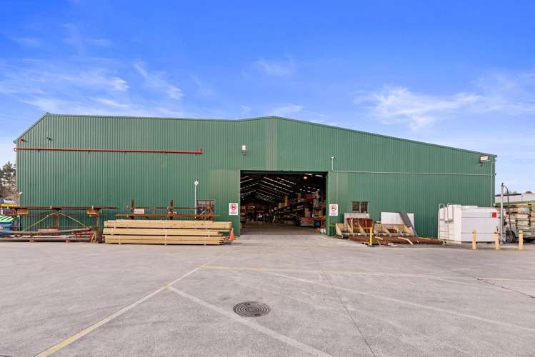 14 Birch Avenue Tauranga_11