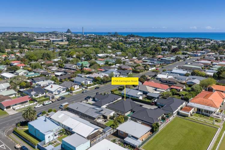 175A Carrington Street Lower Vogeltown_36