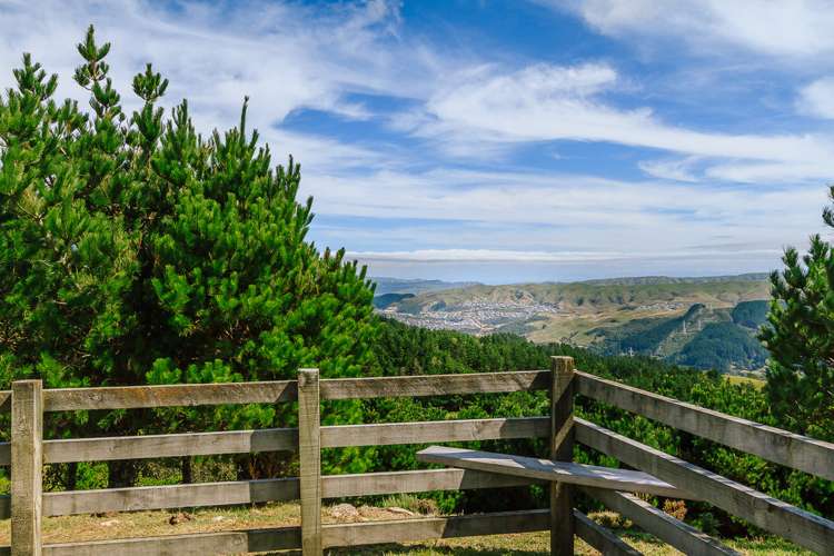 529 Horokiwi Road Horokiwi_17