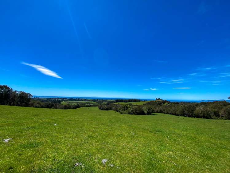 1065 Takaka-Collingwood Highway_0