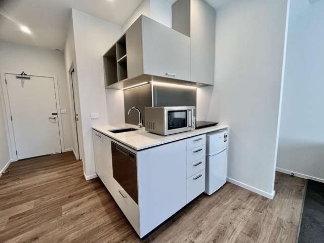 131a Fitzgerald Avenue 1419_3