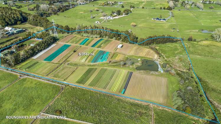 47 Parish Line Road Clevedon_5