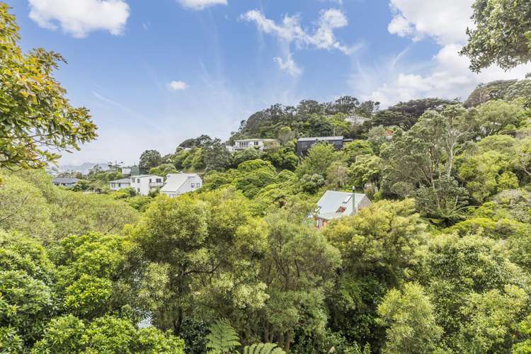 58 Clarence Street Brooklyn_22