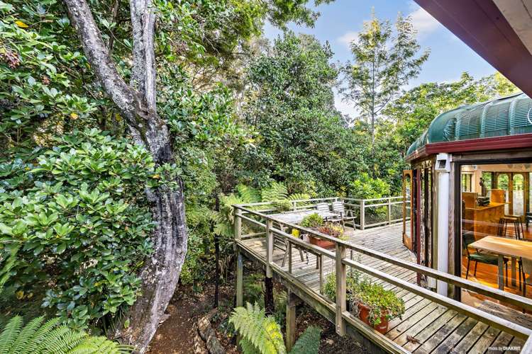 729 Harrisville Road Pukekohe East_12