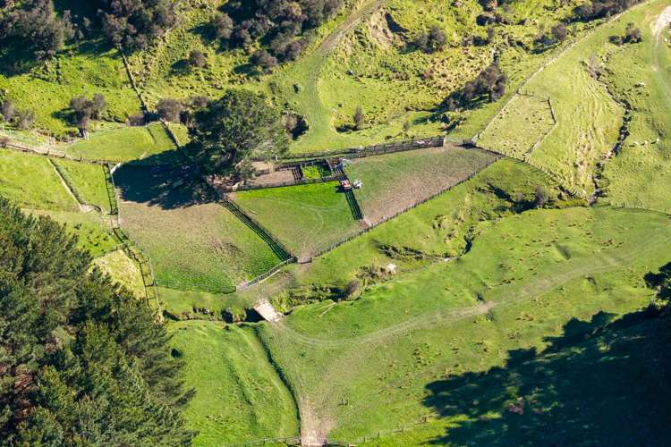 467 Waitahora Valley Road Dannevirke_9