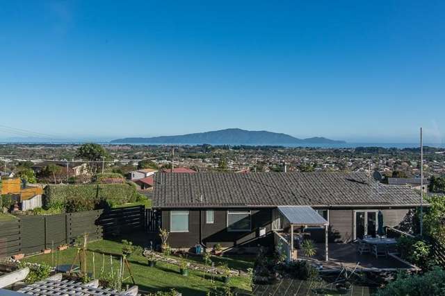 43 Tui Crescent Waikanae_2