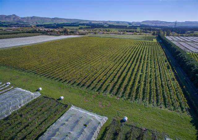 288 Georges Road Amberley_1