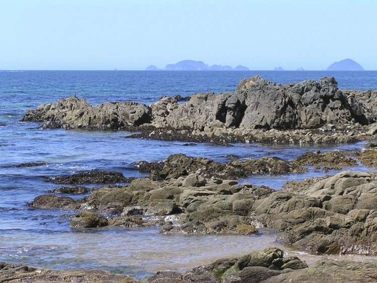 167d Sailors Grave Road Pumpkin Hill_7