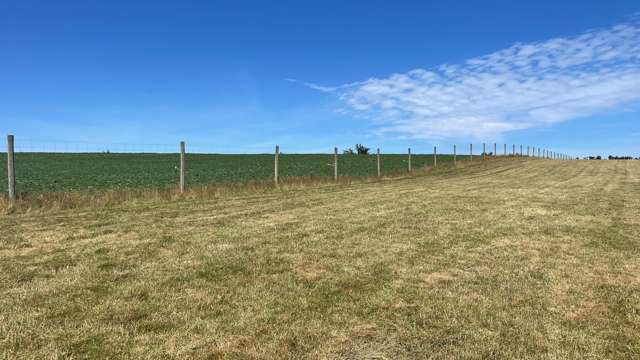 391a Otama Road Gore Surrounds_3