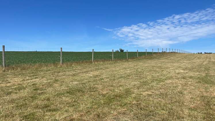 391a Otama Road Gore Surrounds_3