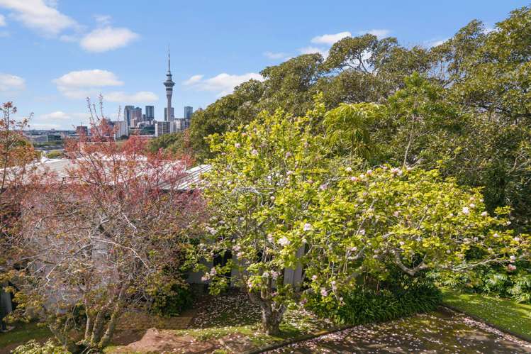 12/27 Hepburn Street Freemans Bay_10