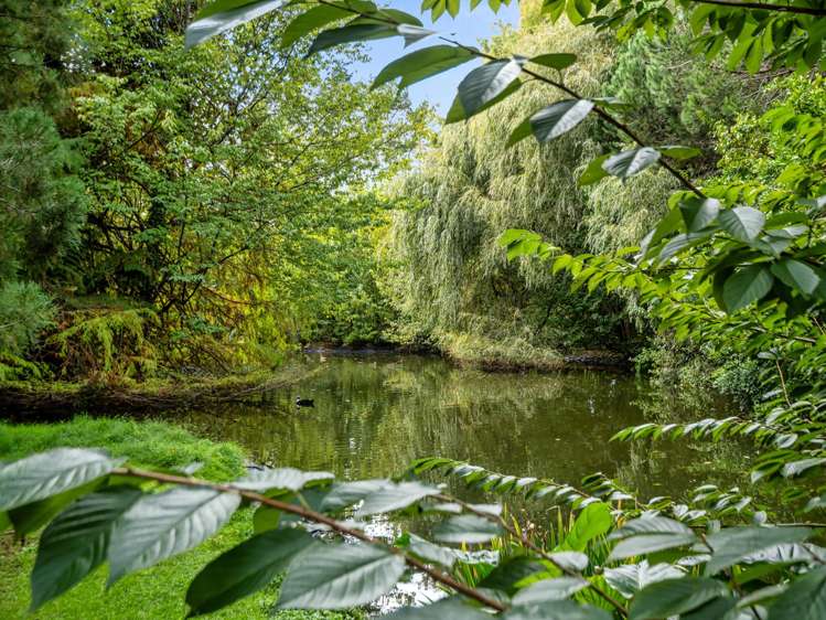 93 Upland Road Aongatete_24