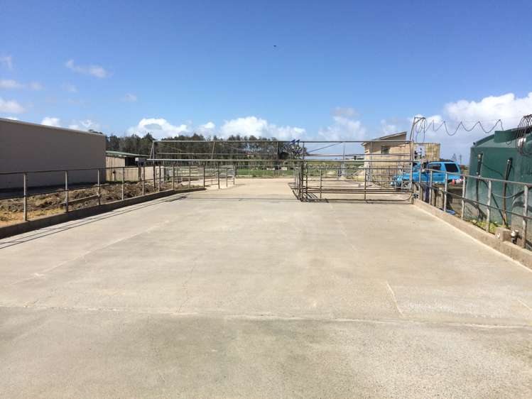 6036 State Highway 12 Arapohue_15