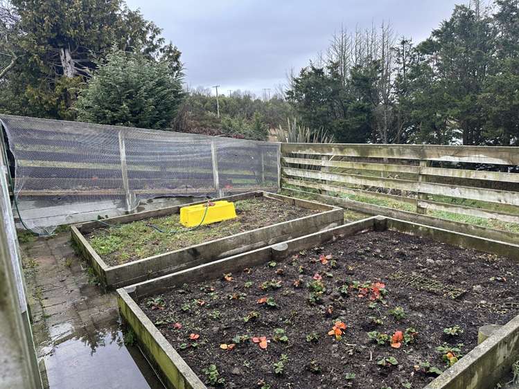 33 Ascot Street Washdyke_15