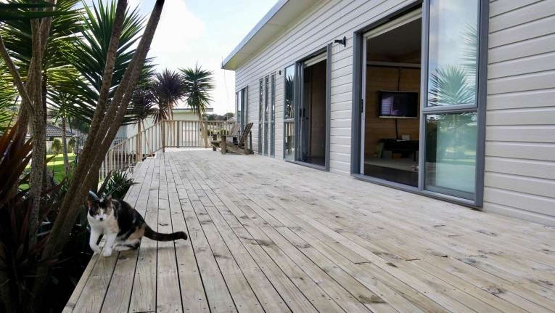 40 Omana Avenue Shelly Beach_0
