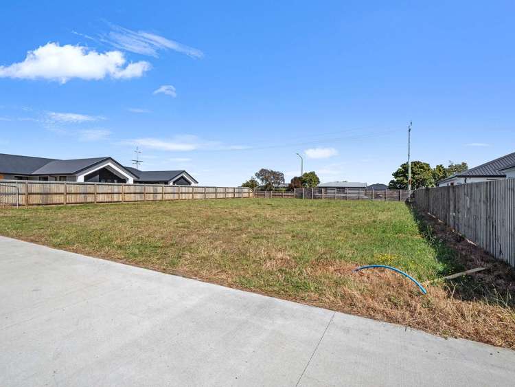 101 Waikirikiri Avenue Lincoln_8