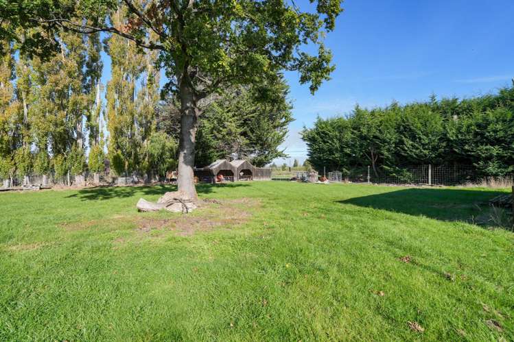 54 Marson Road Drummond_16