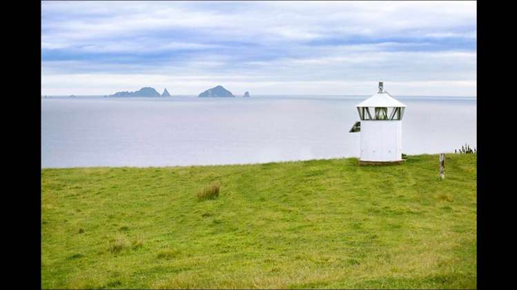 190 Pacific Ocean, Slipper Island (Whakahua) Thames_15