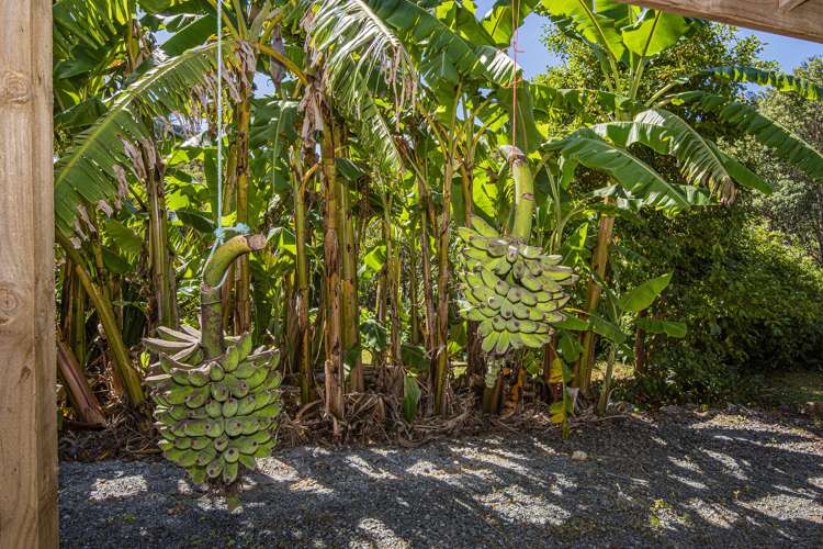 105 Paranui Valley Road Tikipunga_26