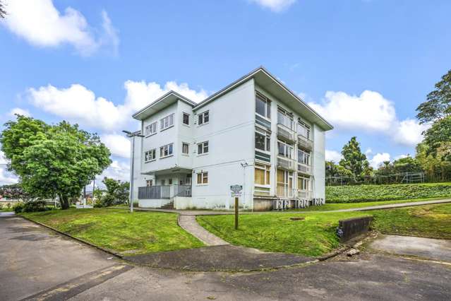 310-314 Blockhouse Bay Road Avondale_4