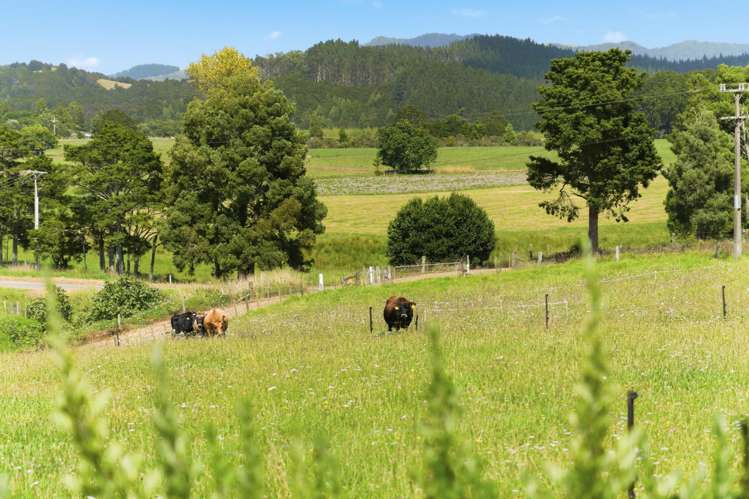 641 Tokiri Road Titoki_24